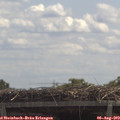 12_15-mast.jpg