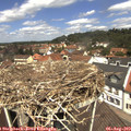 12_15-nest.jpg