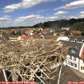 12_20-nest.jpg