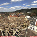 12_25-nest.jpg