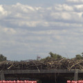 12_30-mast.jpg