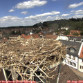 12_30-nest.jpg
