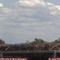 12_35-mast.jpg