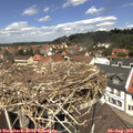 12_35-nest.jpg