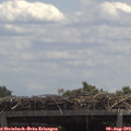 12_40-mast.jpg