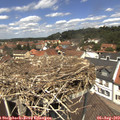 12_40-nest.jpg