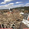 12_45-nest.jpg