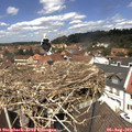 12_50-nest.jpg