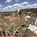 12_55-nest.jpg