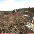13_05-nest.jpg