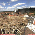 13_10-nest.jpg