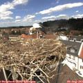 13_15-nest.jpg