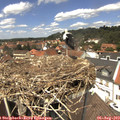 13_20-nest.jpg