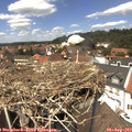 13_30-nest.jpg