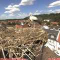 13_35-nest.jpg