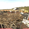 13_55-nest.jpg