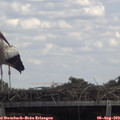 14_00-mast.jpg