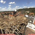 14_05-nest.jpg