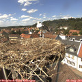 14_10-nest.jpg