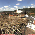 14_15-nest.jpg