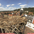 14_25-nest.jpg