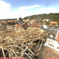 14_30-nest.jpg