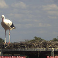 14_35-mast.jpg