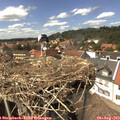 14_35-nest.jpg