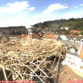 14_40-nest.jpg