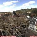 14_45-nest.jpg