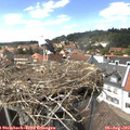 14_50-nest.jpg