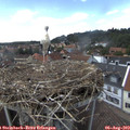 14_55-nest.jpg