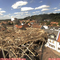 15_00-nest.jpg