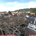 15_05-nest.jpg