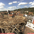 15_10-nest.jpg