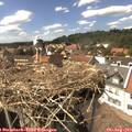 15_15-nest.jpg