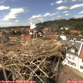 15_20-nest.jpg