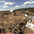 15_25-nest.jpg