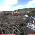 15_30-nest.jpg