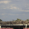 15_35-mast.jpg