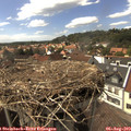 15_35-nest.jpg
