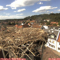 15_40-nest.jpg