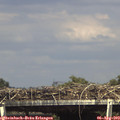 15_45-mast.jpg