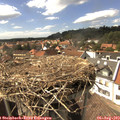 15_45-nest.jpg