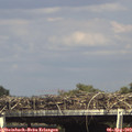 15_50-mast.jpg