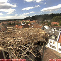 15_50-nest.jpg