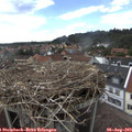 15_55-nest.jpg