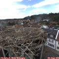 16_00-nest.jpg