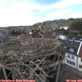 16_05-nest.jpg