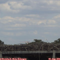 16_10-mast.jpg